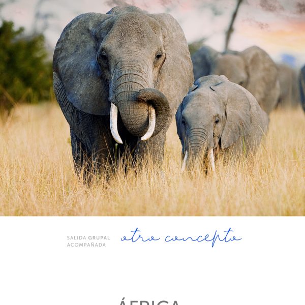 AFRICA África: El corazón salvaje de la naturaleza y la cuna de la humanidad